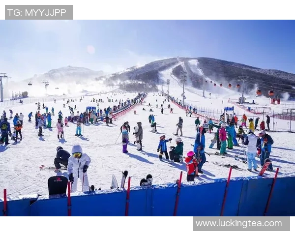 冰雪运动得分技巧全面解析与提升策略探讨