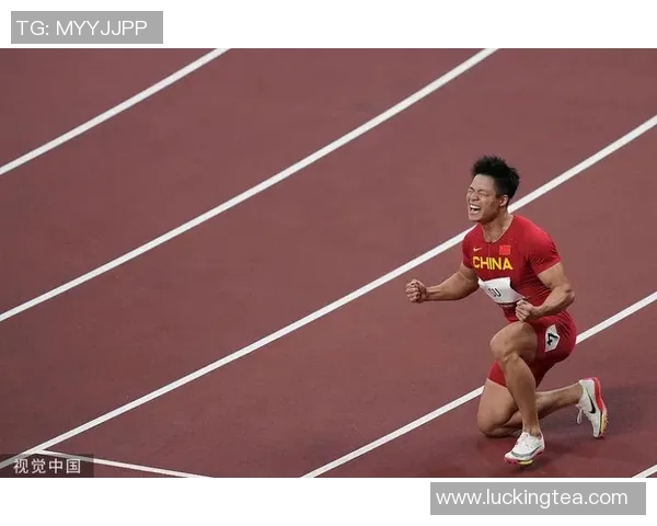 田径选手成绩统计分析与比较研究助力提升运动员竞技水平