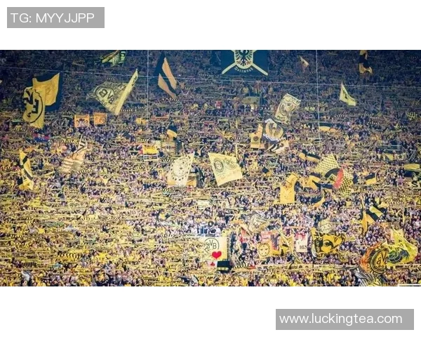 德甲联赛全面升级球场安全设施确保球迷观赛环境安全无忧 德甲联赛全面升级球场安全设施确保球迷观赛环境安全无忧