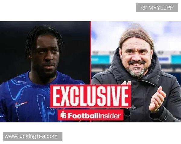 切尔西冬窗新援首秀精彩回顾展现实力与潜力