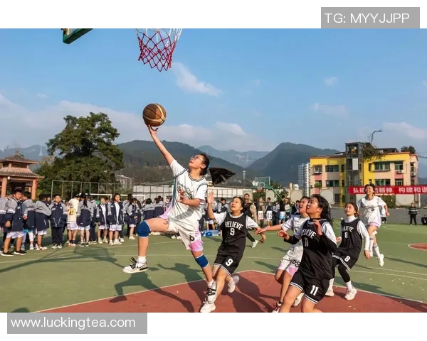 山西汾酒发布新一轮合作计划,致力拓展青少年篮球项目,助力校园篮球发展